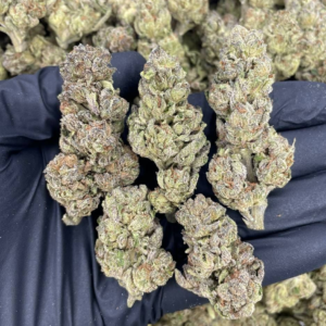 Buy London Jelly strain UAE